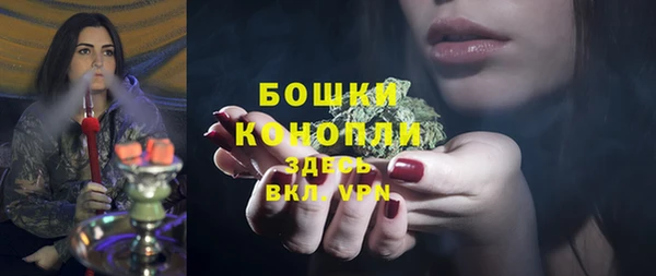 твердый Верхний Тагил