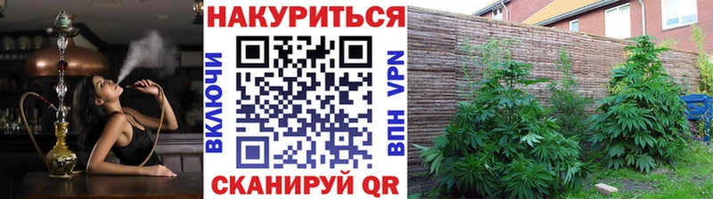 Канабис марихуана  МЕГА ссылка  Данков 